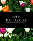 Hortus Excelsior