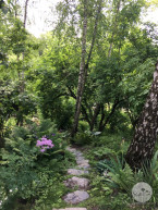 Ogród w stylu naturalistycznym